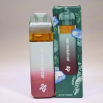 Favorites - Mint Chocolate Chip