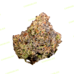 Gelato King