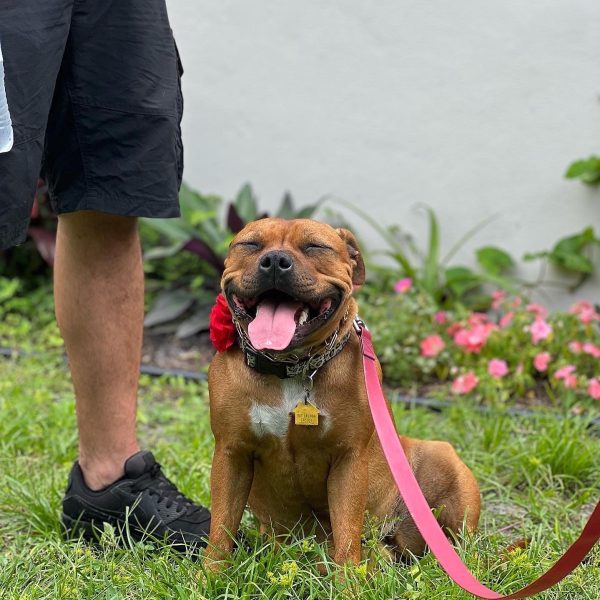 3D4B4045-8210-45D9-8AFA-E083AD276142