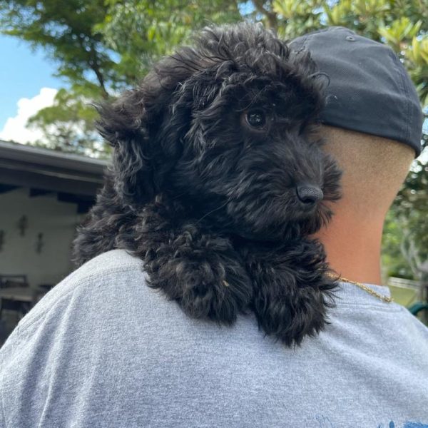 bc5da2bd-abc2-4348-a92e-d9e84eb95c81