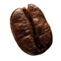 coffee-beans8